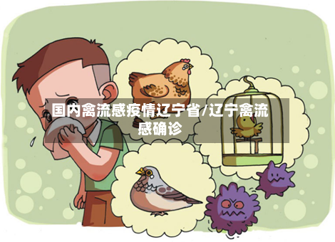 国内禽流感疫情辽宁省/辽宁禽流感确诊-第3张图片