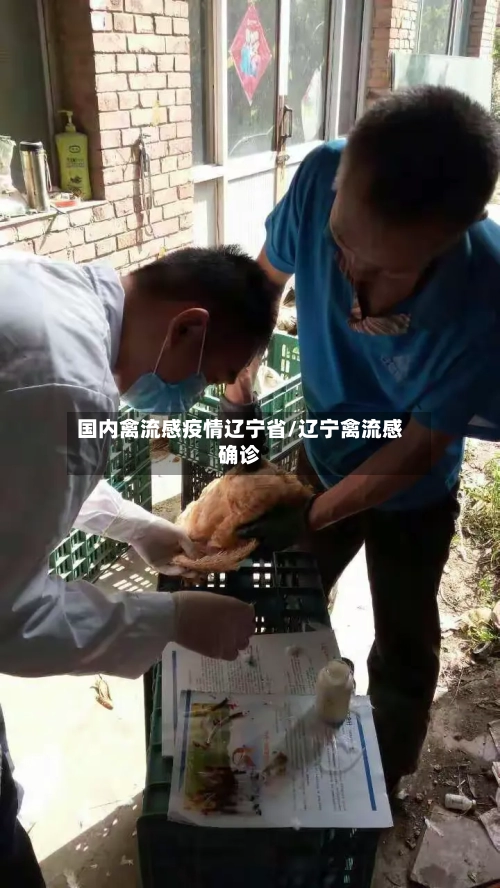 国内禽流感疫情辽宁省/辽宁禽流感确诊-第1张图片