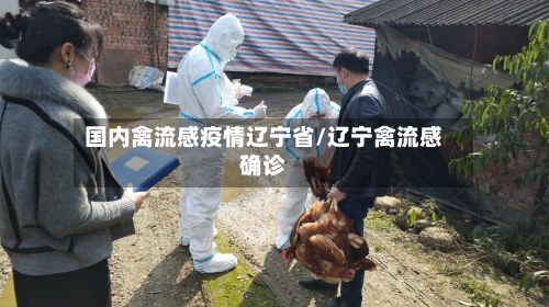 国内禽流感疫情辽宁省/辽宁禽流感确诊-第2张图片