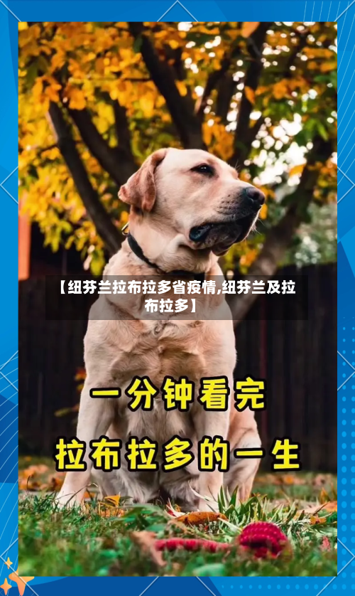 【纽芬兰拉布拉多省疫情,纽芬兰及拉布拉多】-第2张图片