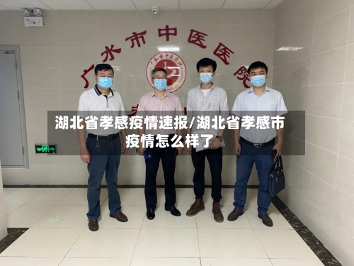 湖北省孝感疫情速报/湖北省孝感市疫情怎么样了-第2张图片