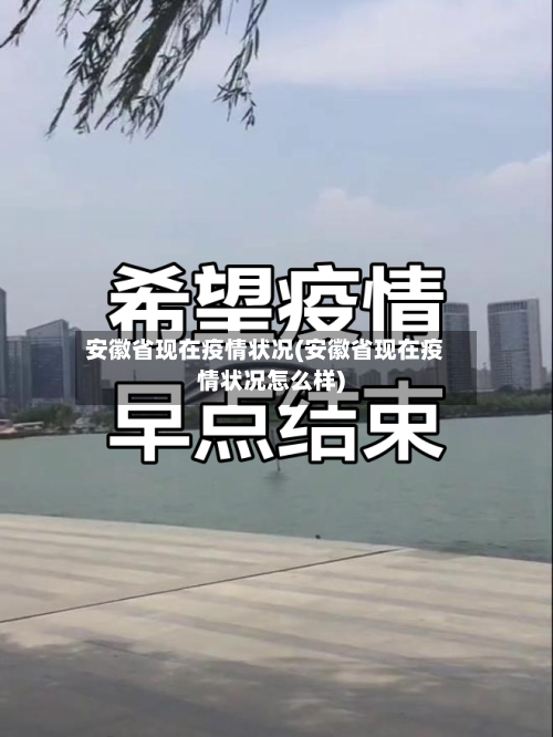 安徽省现在疫情状况(安徽省现在疫情状况怎么样)-第1张图片