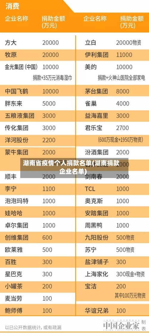 湖南省疫情个人捐款名单(湖南捐款企业名单)-第3张图片