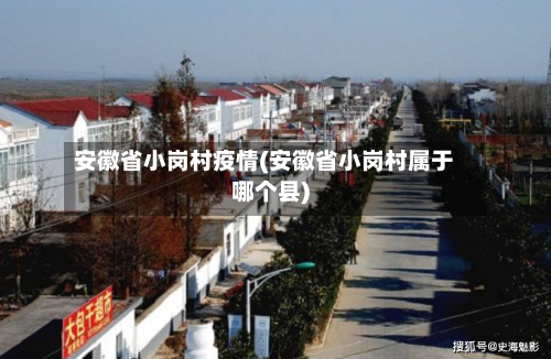 安徽省小岗村疫情(安徽省小岗村属于哪个县)-第1张图片