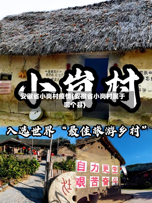 安徽省小岗村疫情(安徽省小岗村属于哪个县)-第3张图片