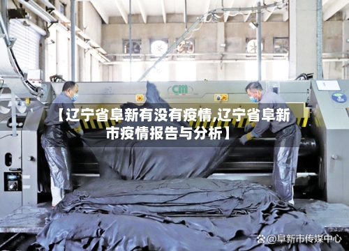 【辽宁省阜新有没有疫情,辽宁省阜新市疫情报告与分析】-第2张图片