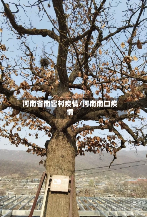 河南省南窖村疫情/河南南口疫情-第2张图片
