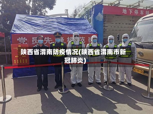 陕西省渭南防疫情况(陕西省渭南市新冠肺炎)-第2张图片