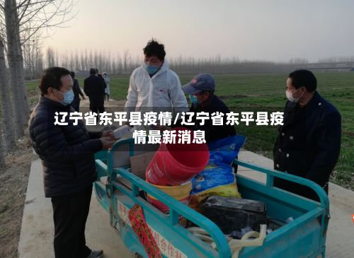 辽宁省东平县疫情/辽宁省东平县疫情最新消息-第2张图片