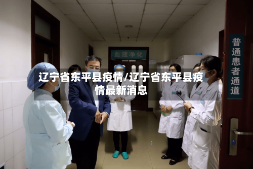 辽宁省东平县疫情/辽宁省东平县疫情最新消息-第1张图片