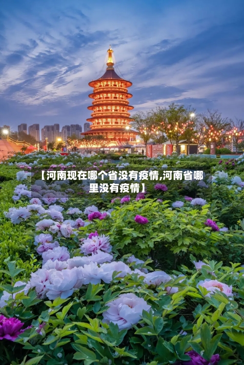 【河南现在哪个省没有疫情,河南省哪里没有疫情】-第1张图片