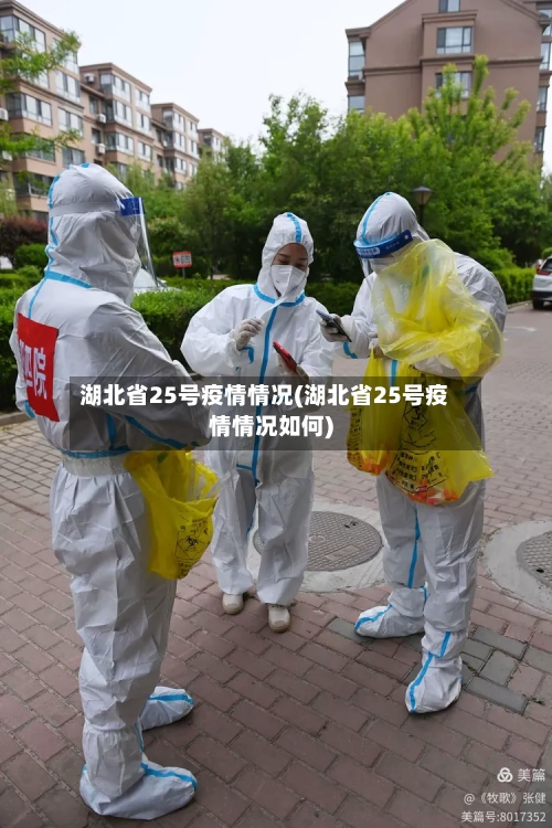 湖北省25号疫情情况(湖北省25号疫情情况如何)-第1张图片