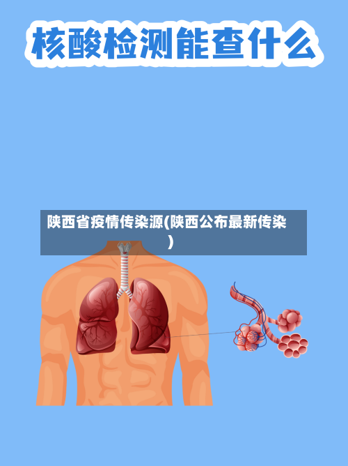 陕西省疫情传染源(陕西公布最新传染)-第1张图片