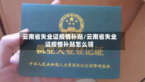 云南省失业证疫情补贴/云南省失业证疫情补贴怎么领-第2张图片