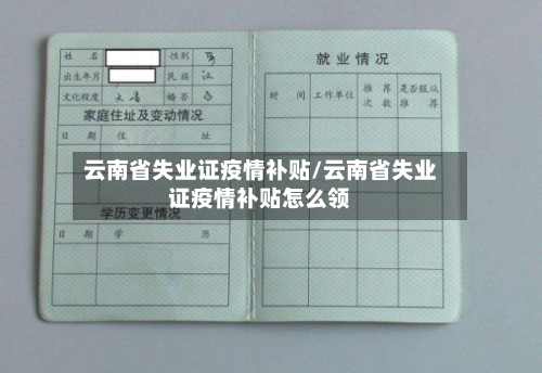 云南省失业证疫情补贴/云南省失业证疫情补贴怎么领-第1张图片