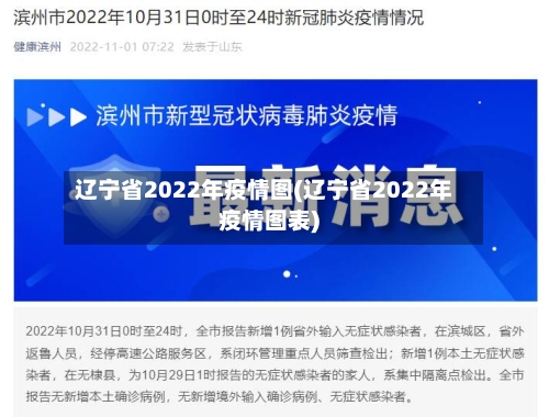 辽宁省2022年疫情图(辽宁省2022年疫情图表)-第2张图片