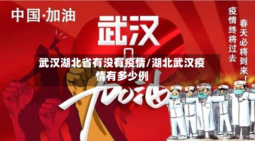 武汉湖北省有没有疫情/湖北武汉疫情有多少例-第1张图片