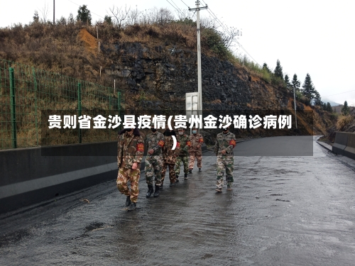 贵则省金沙县疫情(贵州金沙确诊病例)-第3张图片
