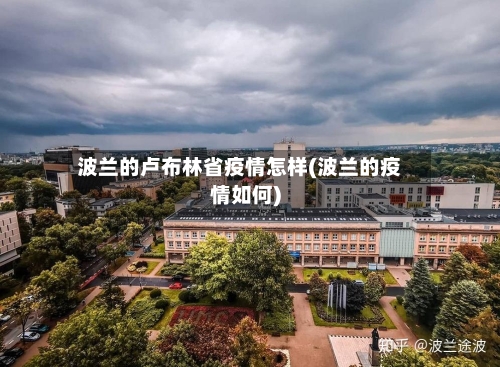 波兰的卢布林省疫情怎样(波兰的疫情如何)-第1张图片