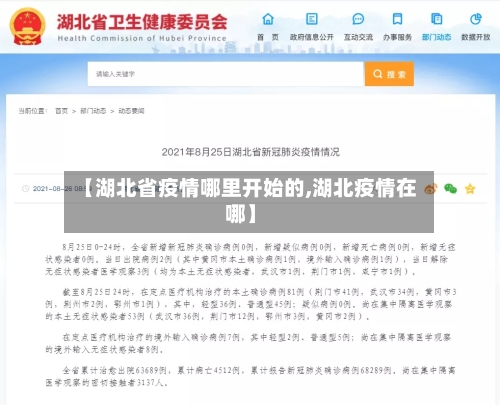 【湖北省疫情哪里开始的,湖北疫情在哪】-第2张图片