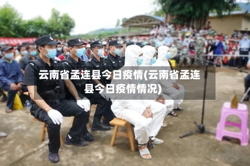 云南省孟连县今日疫情(云南省孟连县今日疫情情况)-第2张图片