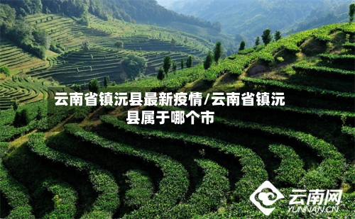 云南省镇沅县最新疫情/云南省镇沅县属于哪个市-第1张图片