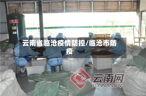 云南省临沧疫情防控/临沧市防疫-第3张图片