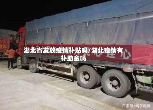 湖北省发放疫情补贴吗/湖北疫情有补助金吗-第2张图片