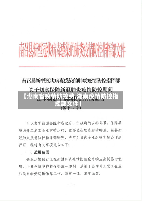 【湖南省疫情防控费,湖南疫情防控指挥部文件】-第2张图片