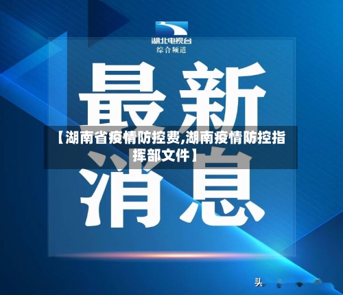 【湖南省疫情防控费,湖南疫情防控指挥部文件】-第3张图片