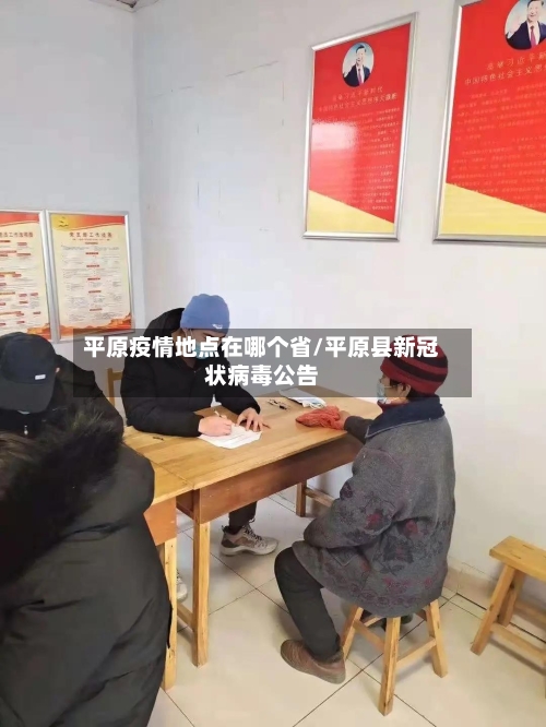 平原疫情地点在哪个省/平原县新冠状病毒公告-第3张图片