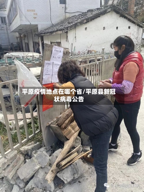 平原疫情地点在哪个省/平原县新冠状病毒公告-第2张图片