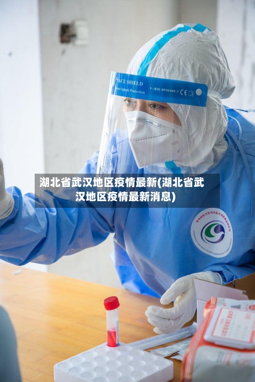 湖北省武汉地区疫情最新(湖北省武汉地区疫情最新消息)-第3张图片