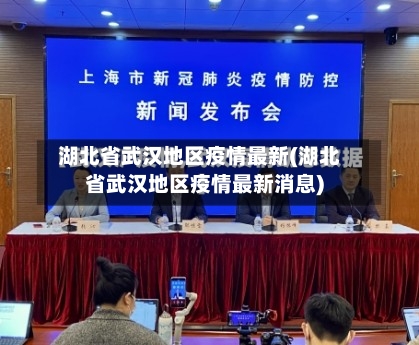 湖北省武汉地区疫情最新(湖北省武汉地区疫情最新消息)-第1张图片