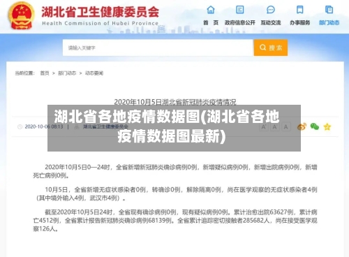 湖北省各地疫情数据图(湖北省各地疫情数据图最新)-第1张图片