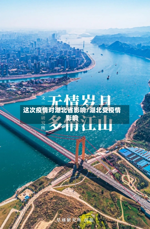 这次疫情对湖北省影响/湖北受疫情影响-第1张图片