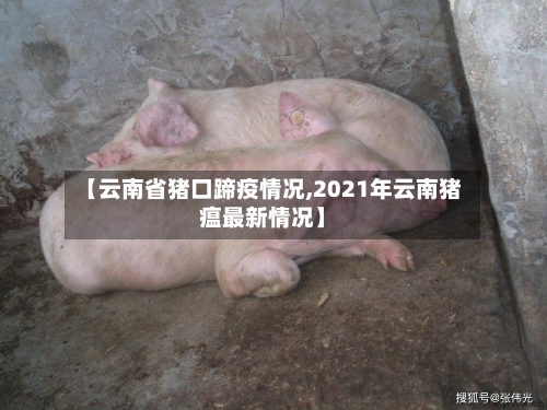【云南省猪口蹄疫情况,2021年云南猪瘟最新情况】-第1张图片