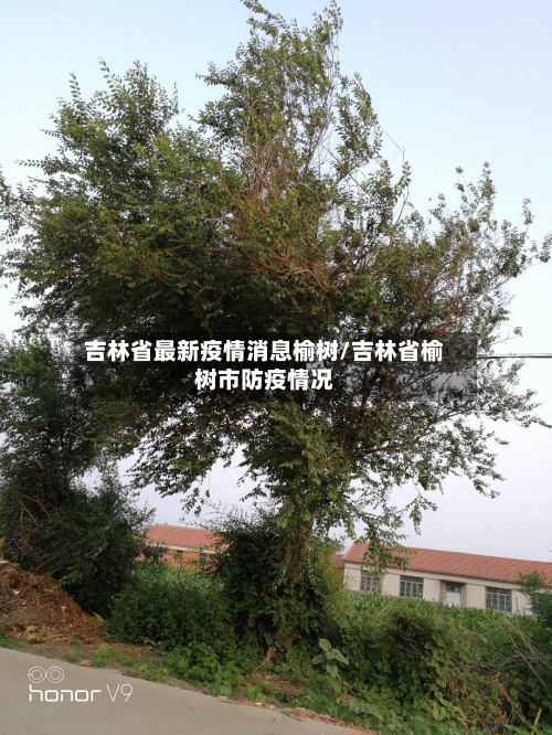 吉林省最新疫情消息榆树/吉林省榆树市防疫情况-第1张图片