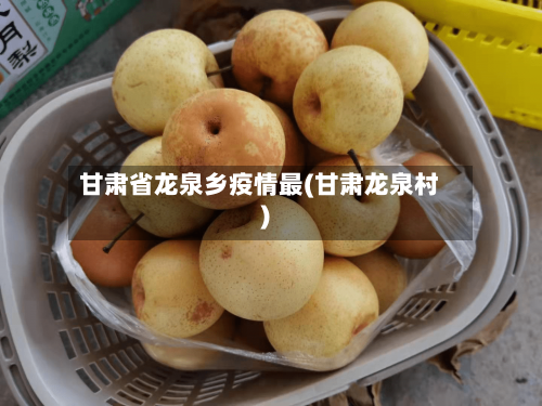 甘肃省龙泉乡疫情最(甘肃龙泉村)-第3张图片