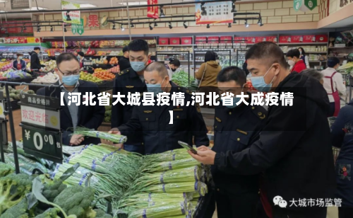 【河北省大城县疫情,河北省大成疫情】-第2张图片