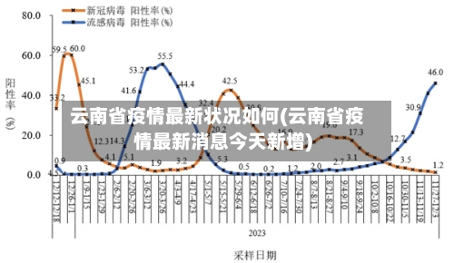 云南省疫情最新状况如何(云南省疫情最新消息今天新增)-第1张图片