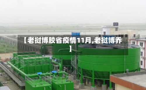 【老挝博胶省疫情11月,老挝博乔】-第1张图片