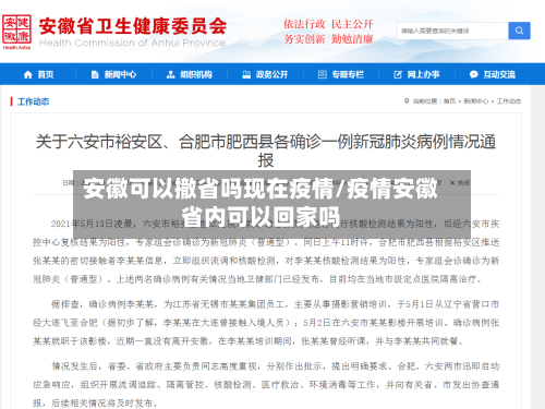安徽可以撤省吗现在疫情/疫情安徽省内可以回家吗-第2张图片