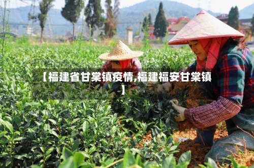 【福建省甘棠镇疫情,福建福安甘棠镇】-第1张图片