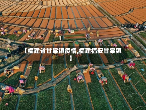 【福建省甘棠镇疫情,福建福安甘棠镇】-第2张图片