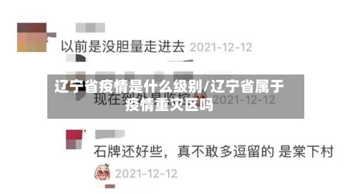 辽宁省疫情是什么级别/辽宁省属于疫情重灾区吗-第3张图片