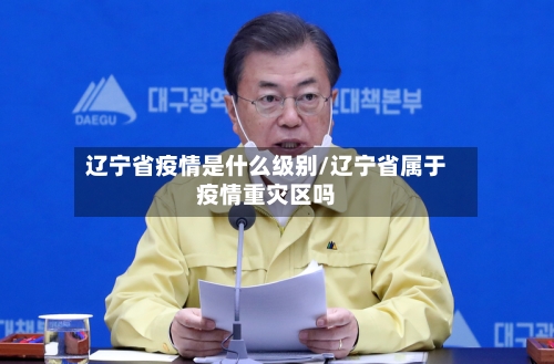 辽宁省疫情是什么级别/辽宁省属于疫情重灾区吗-第2张图片