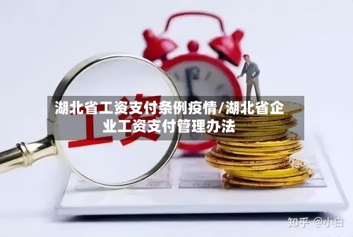 湖北省工资支付条例疫情/湖北省企业工资支付管理办法-第3张图片