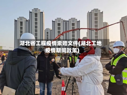 湖北省工程疫情索赔文件(湖北工地疫情期间政策)-第2张图片