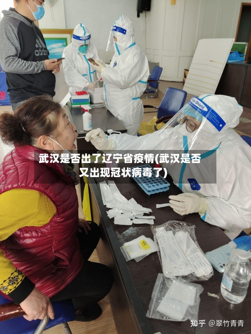 武汉是否出了辽宁省疫情(武汉是否又出现冠状病毒了)-第1张图片
